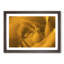 Golden Rose Flower in Abstract - Picture Frame Graphic Art Print-55735224-55735227
