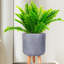 Concrete Effect Cylinder Round Planter on Hardwood Legs, Round Indoor Plant Pot Stand for Indoor Plants, Indoor Flower Pot with Honeycomb Pattern-89142829-89142826