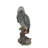 Gabon Parrot on Stump