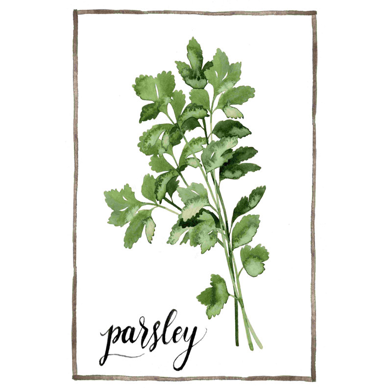 Aquarelle herbes II, H 30 po x l 20 po x P 1,25 po