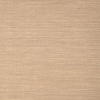 Tapis contemporain beige / brun