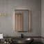 Armoire à pharmacie encastrée de 20 x 30 pouces avec miroir et étagères réglables, noir mat-84316545