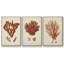 Ensemble de 3 toiles tendues Shell Collection-1798601473-1798601486