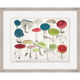 Modern Mushrooms 3 Print