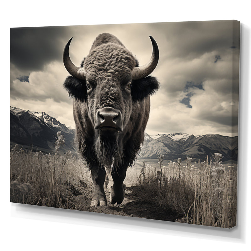 Bison Majestic Bison - Bison, reproduction sur toile, H 24 po x l 32 po x P 1 po, Toile tendue