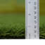Gazon artificiel vert / vert 7,5 pi x 10 pi Verdant Vista Lushscape-86726643