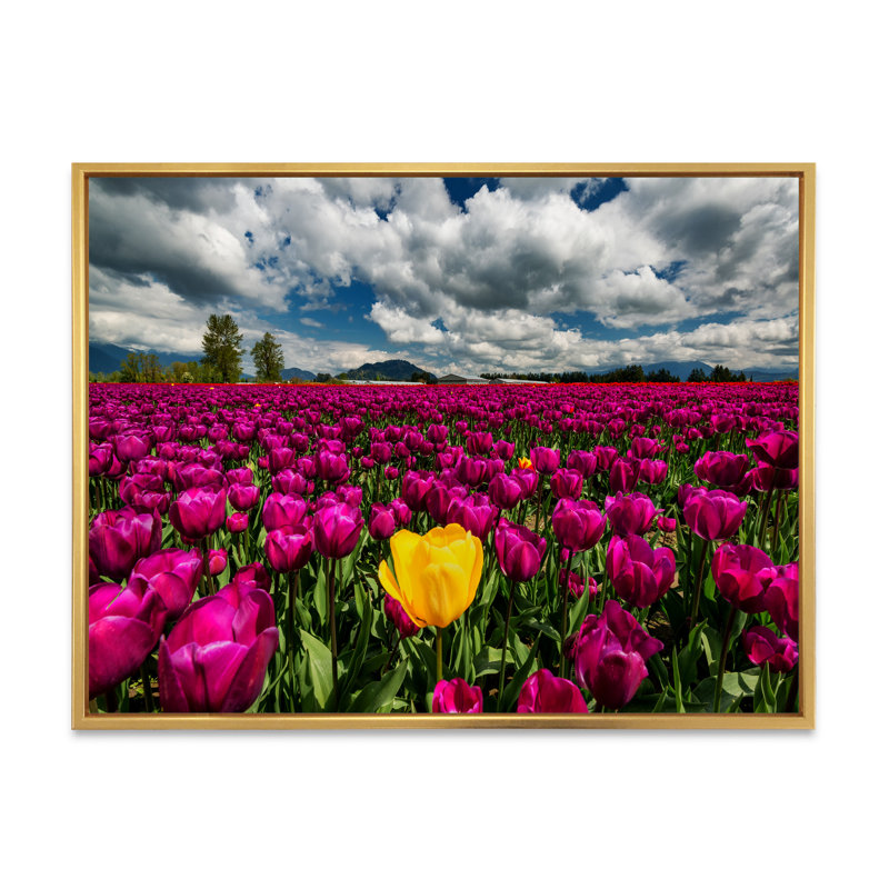Tulipes contre montagnes noires - Art mural sur toile traditionnel, H 12 po x l 20 po x P 1 po, Toile avec cadre flottant or