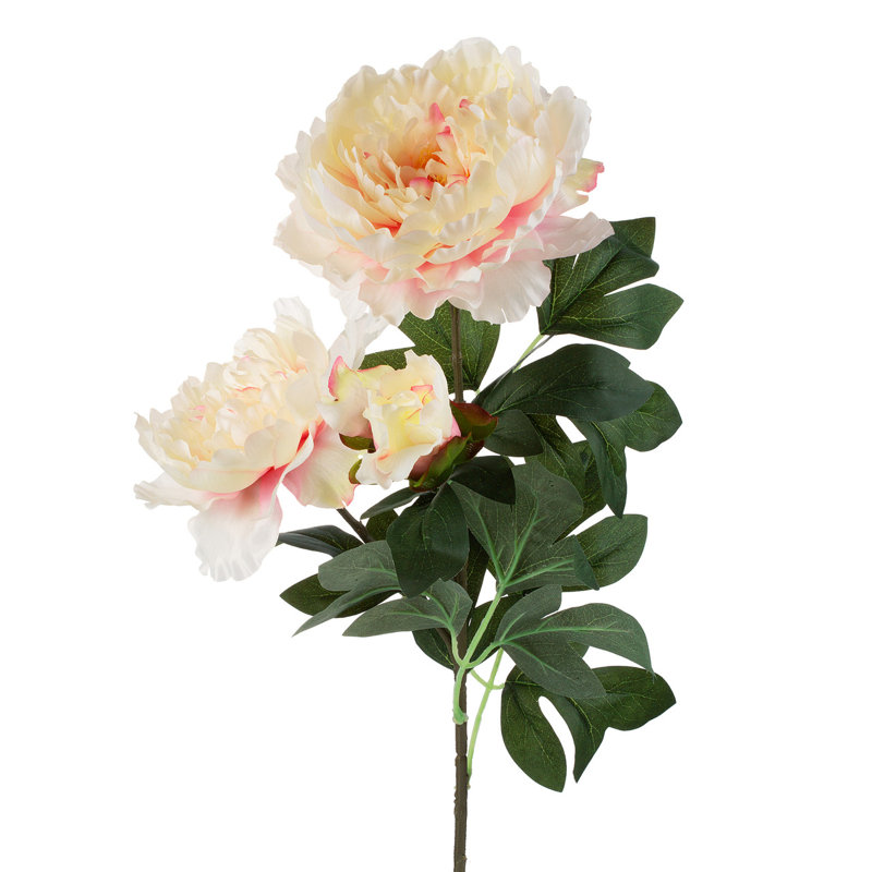 Tige de pivoine 28 po, Rose