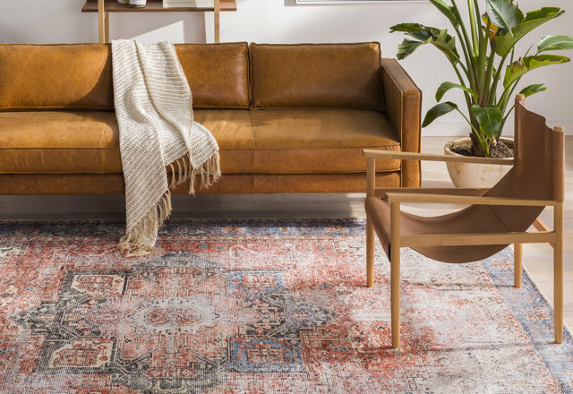 Our Best Area Rug Deals