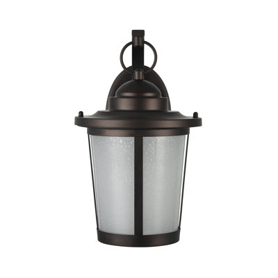 Lanterne murale d'extérieur 1 lumière H 13,25 po Brasher