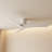 55In Flush Mount Ceiling Fan with Light, 3 ABS Blades, DC Reversible Motor, Remote Control, 6-Speed & Timer, Low Profile Quiet Modern Ceiling Fan for Bedroom Living Room, Indoor Use-696792337-696792338