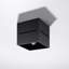 Lobo Flush Mount