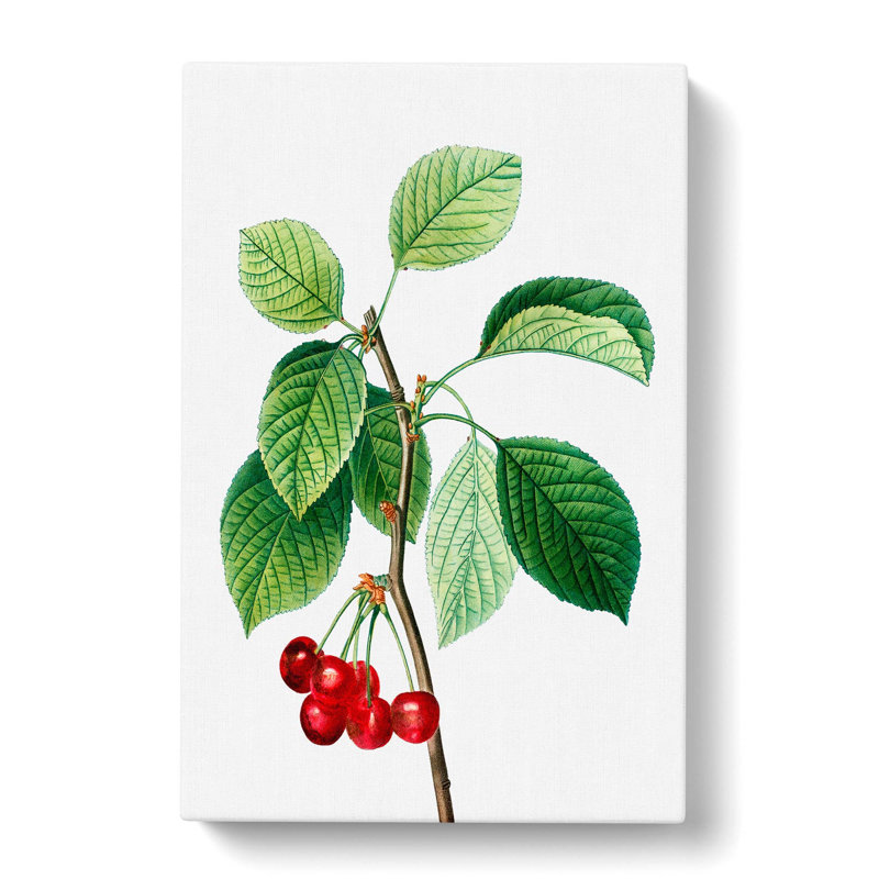 Ripe Cherries by Pierre-Joseph Redoute - Wrapped Canvas Painting, 50cm H x 35cm W x 3cm D