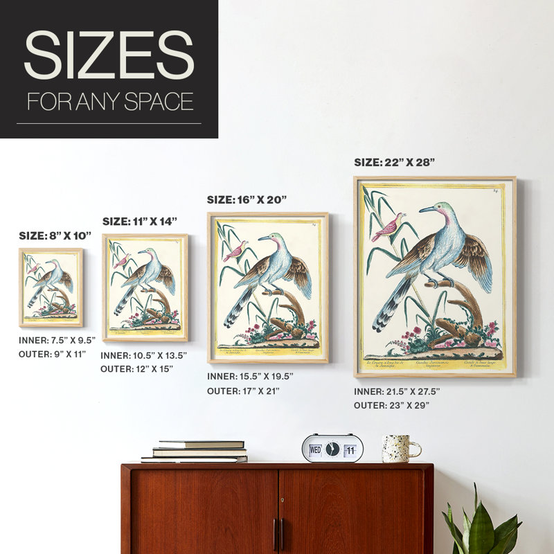«Pastel Birds V», reproduction encadrée en bois massif