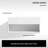 MonBlari 31.5" X 18" Rectangle Solid Surface Wall Mounted Bathroom Sinks Matt White