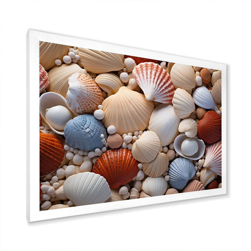 «Beach Photo Seashell Symphony III», reproduction d'art sur toile, Blanc, H 24 po x l 32 po x P 1 po