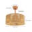 18'' Ceiling Fan Light With Remote Control