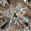 Lustre en laiton vieilli 23,75 po Adley-1140329328
