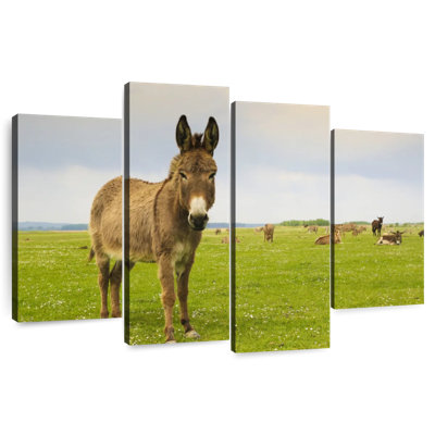Brampt Donkey And Friends