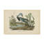 «Louisiana Heron» par James Audubon, impression sur toile-33523160