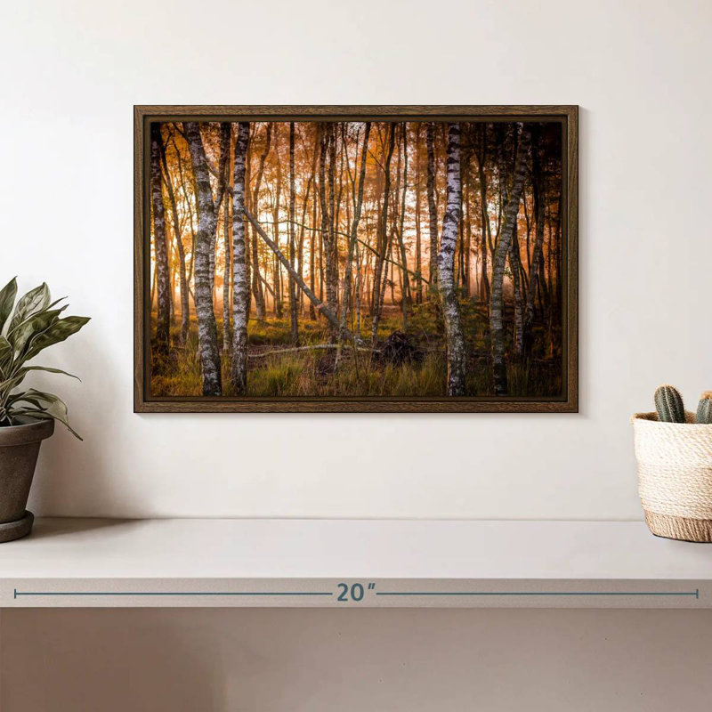 Forêt de bouleaux sombre, 13 po x 9 po, Cadre flottant noyer