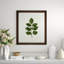 A Little Piece Of Nature II Print