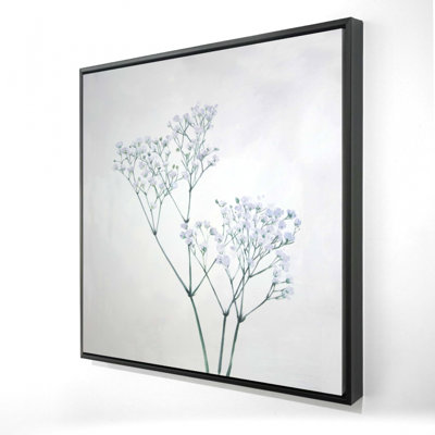 " Baby's-breath Flowers "