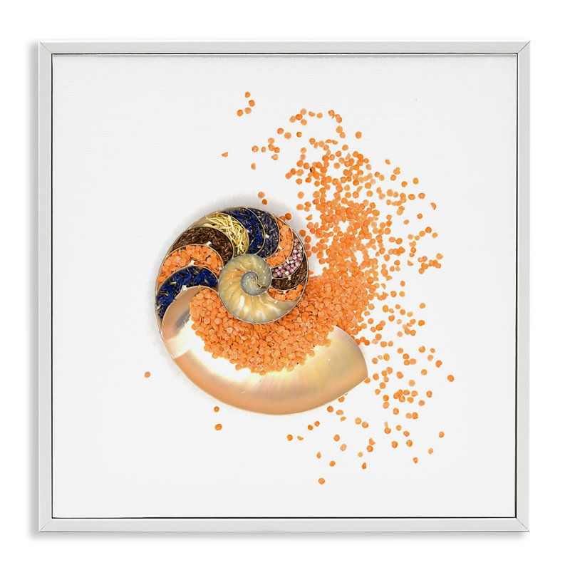 Giclée à spirale orange Nautilus orange, design par Beth Adoette, Encadrement giclée blanc côtier, H 12 po x l 12 po