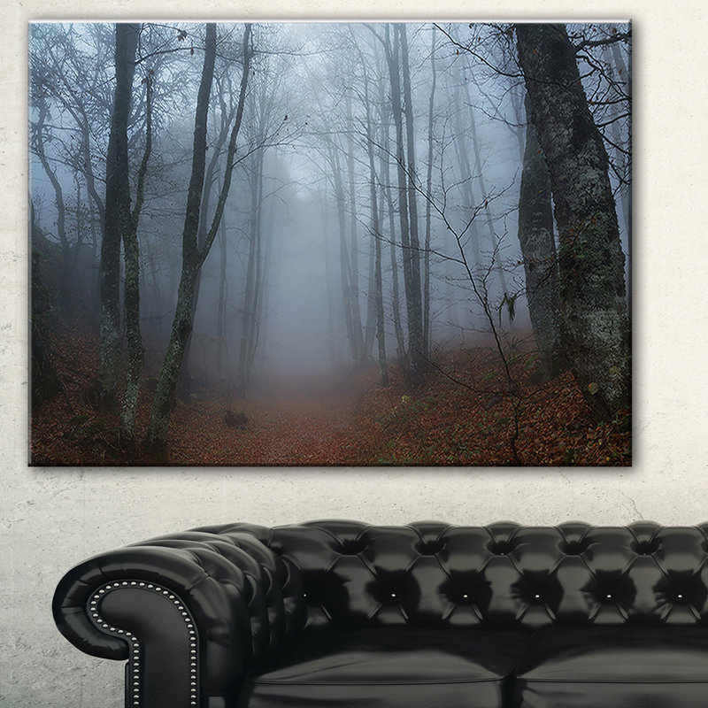 «Autumn Rainy Forest in Crimea», reproduction de photo sur toile tendue, H 20 po x l 20 po x P 1 po