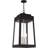 13.75 Inch 4-Light Black Outdoor Pendant Lantern with Clear Glass Shade