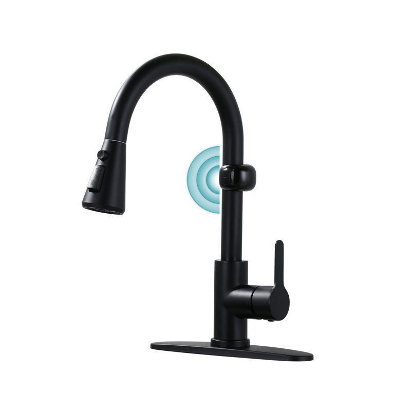 Single Handle Pull Down Sprayer Kitchen Faucet with Movale Sensor, Matte Black