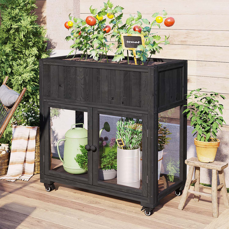 Versatile Mini Garden Greenhouse with Advanced Features for All Seasons, Black