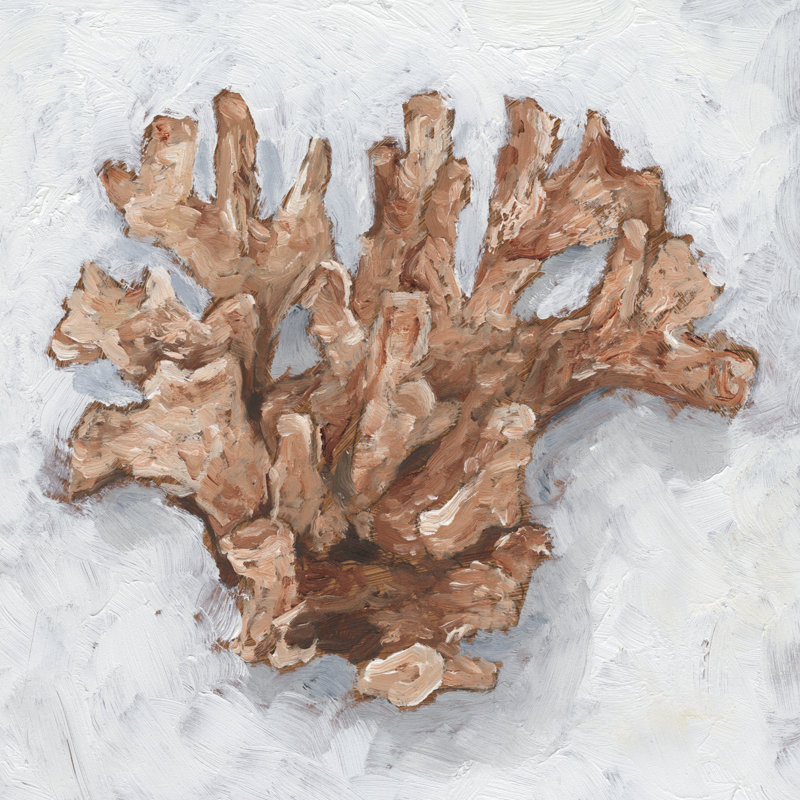 Coral Coral Display I by Ethan Harper - Wrapped Canvas Painting, 91cm H x 91cm W