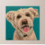 Lee Keller - Wrapped Canvas Painting-1480818634