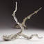 Sculpture branche dérivante