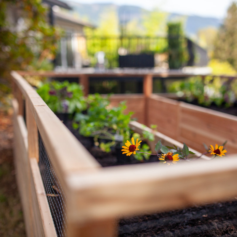 8 ft x 12 ft Cedar Garden in A Box Kit