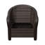 Ensemble de 2 chaises avec accoudoirs en osier en polyéthylène (PE)-1526881123