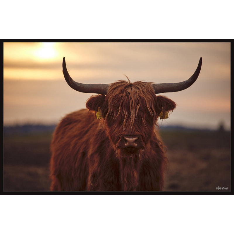 Sunset And Cows by Marmont Hill - Painting, 41cm H x 61cm W, Canvas