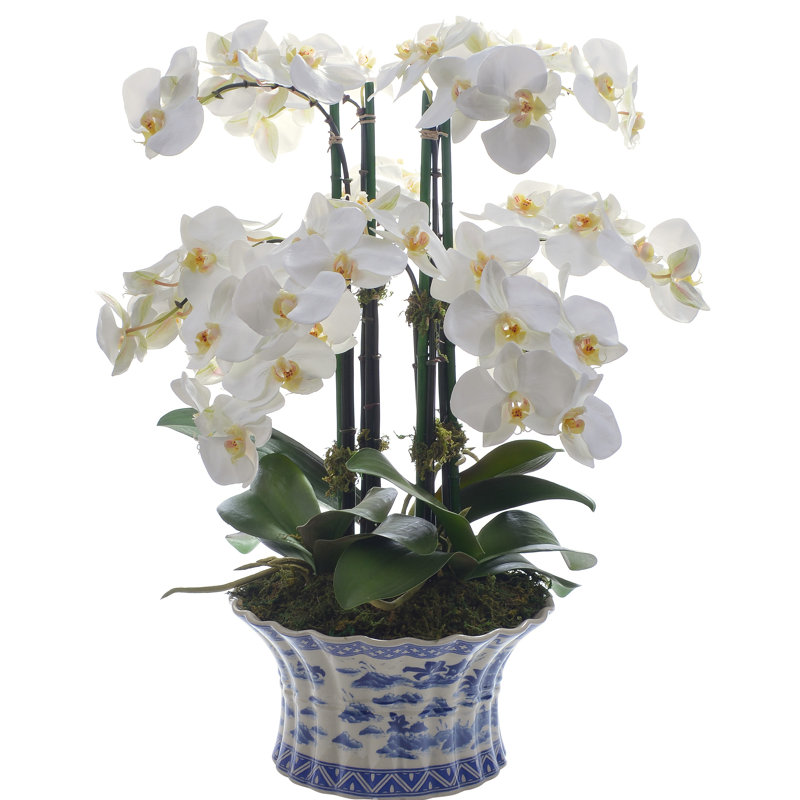 Fabric Orchid Arrangement in Pot