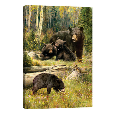 Black Bear Family - Wrapped Canvas Print
