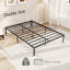 Metal Bed
