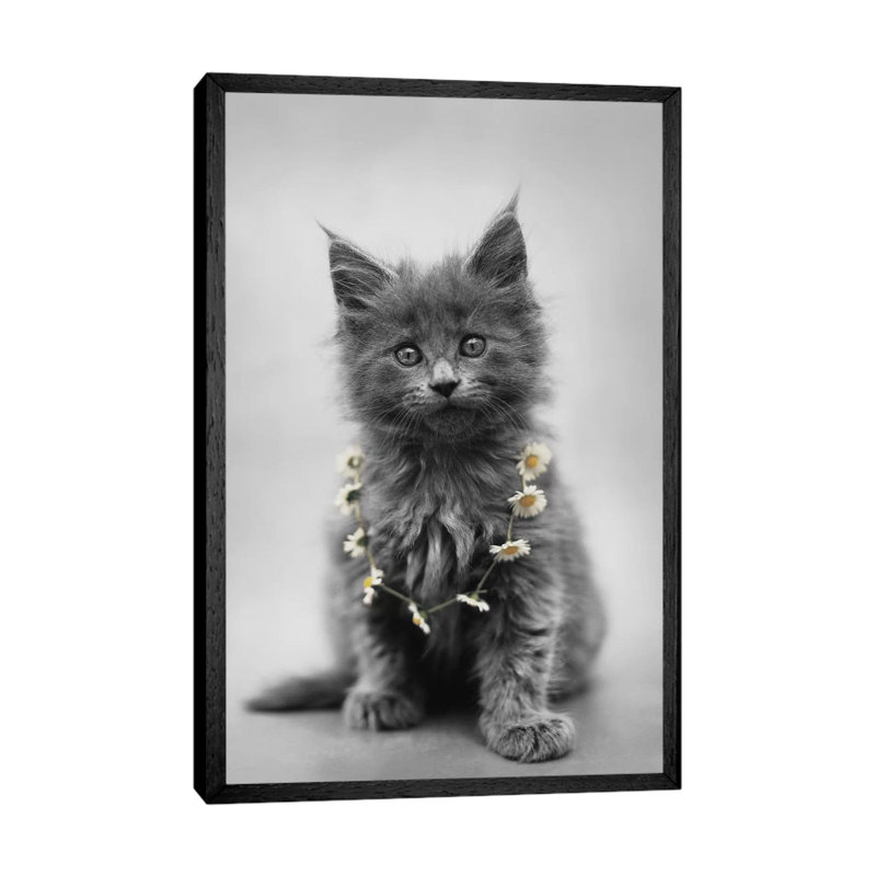 Lara by Rachael Hale - Print on Canvas, Black Framed, 66.04 cm H x 45.72 cm W