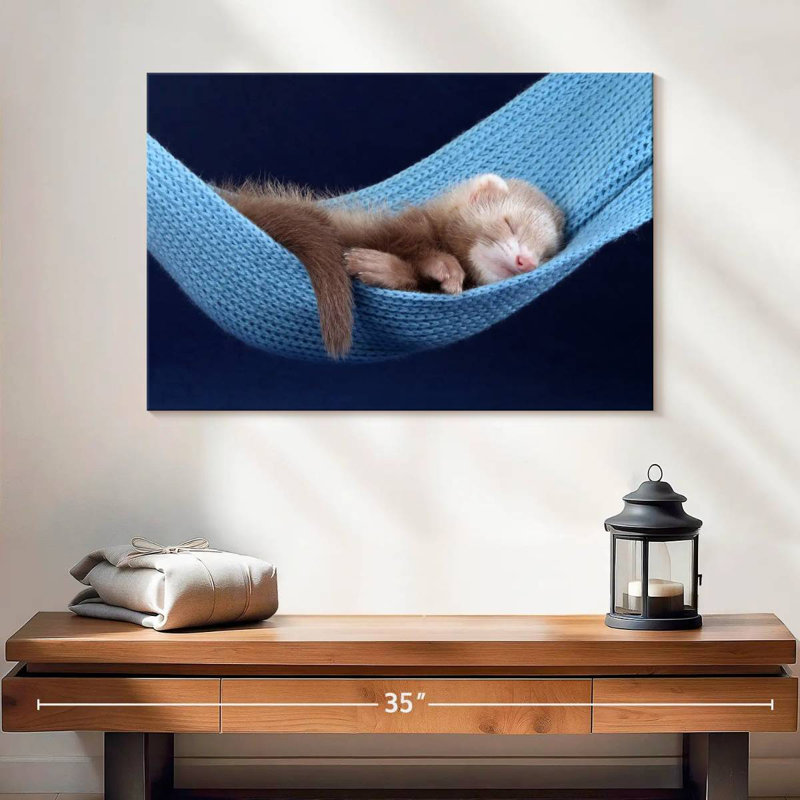 Ferret Hammock, 16" H x 24" W
