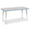 Berries Rectangle Activity Table