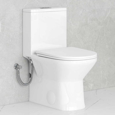 Compact Elongated Chair Height One Piece Toilet, 0.8/1.6 GPF WaterSense & MaP 1000g, Rimless Design, 25" Deep, 12-inch Rough-in