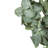 D23.6" Eucalyptus Wreath, Green