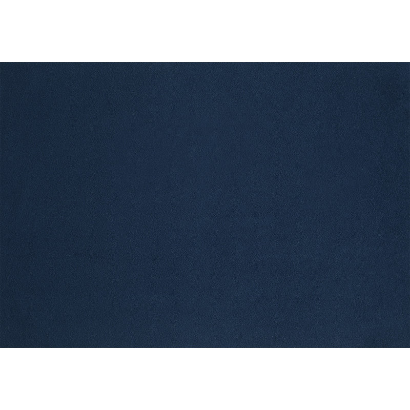 Ensemble de chaises rembourrées en tissu bleu 2 pièces Modern Contemporary, Bleu