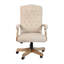  Executive Swivel Office Chair with Arms-978127855