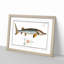 Sturgeon Fish by M.E. Bloch - Picture Frame Painting Print on MDF-55613522-55613521
