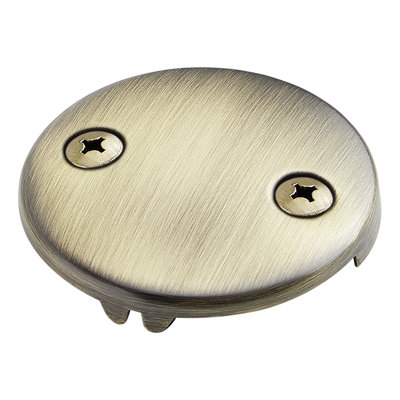 Overflow Cover Plate with Two Screws